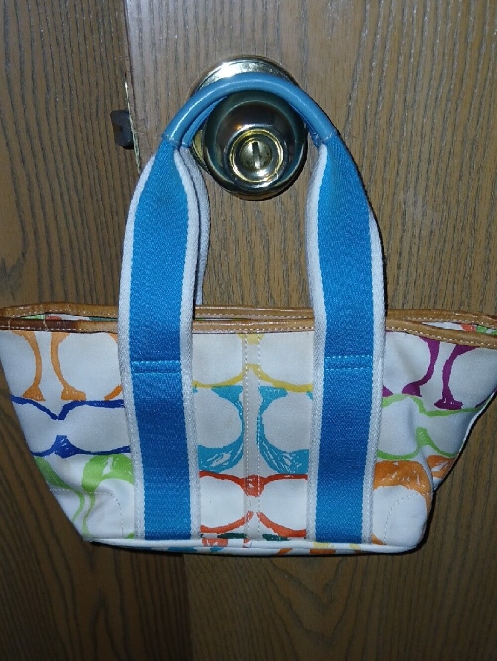 Coach Multicolor Canvas Tote with Blue Straps and Ladybug Charm - Picture 4 of 6